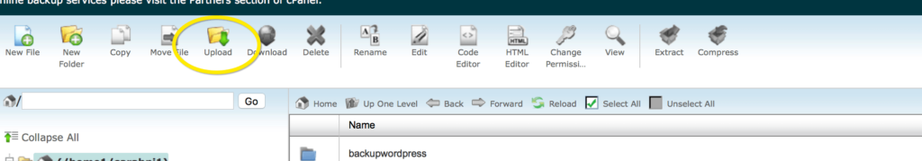Upload to cpanel