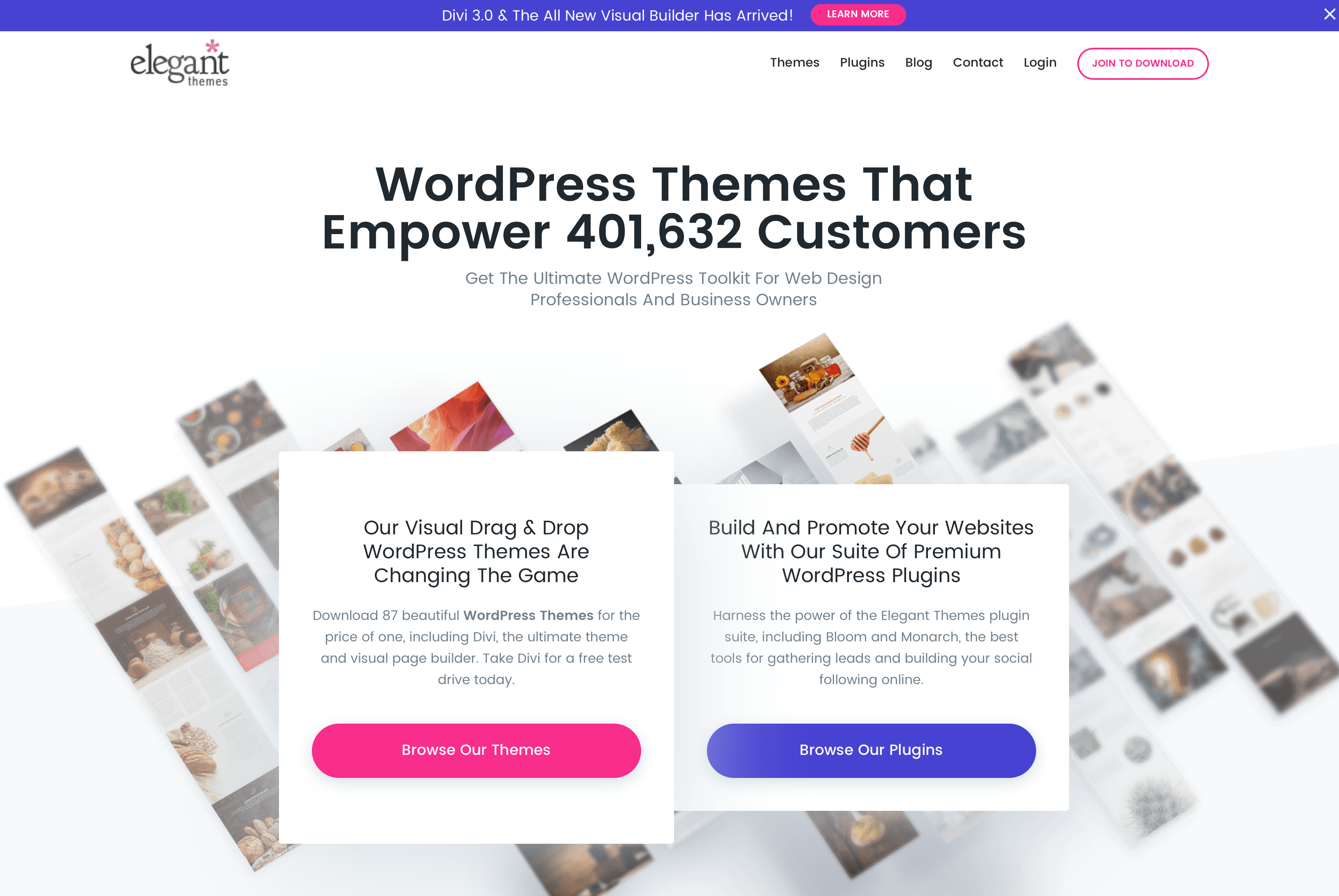 Elegant Themes Website